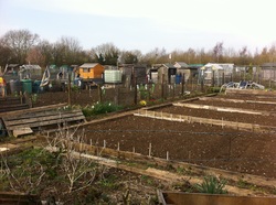 Allotments