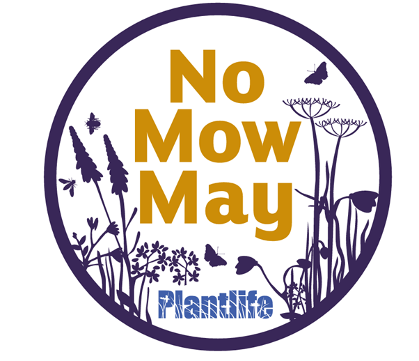 No mow May