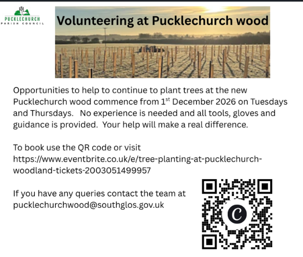 detsild of volunteering from 1st December