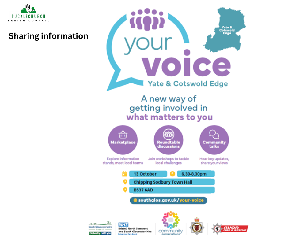 Information on Your Voice meeting 131025