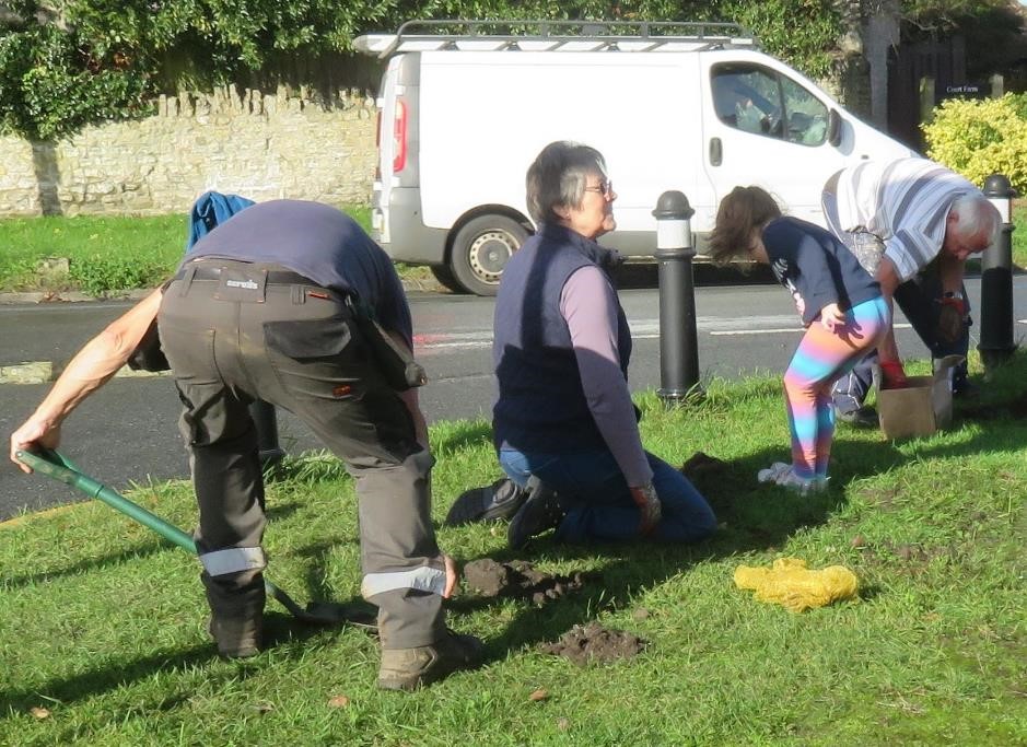 planing bulbs