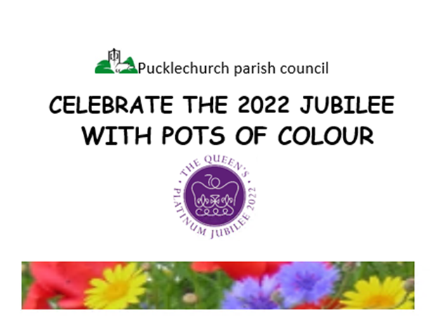 Seed packet design
