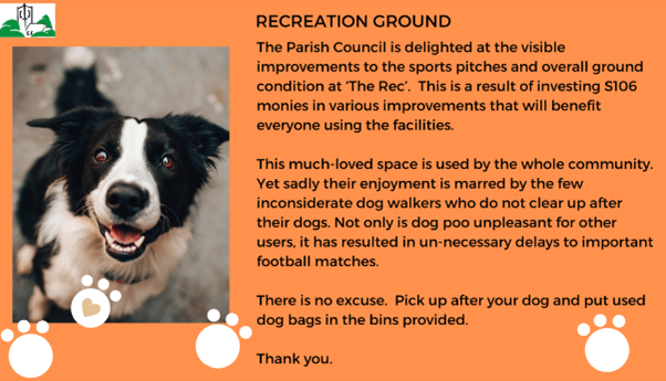 Dog poo on The Rec