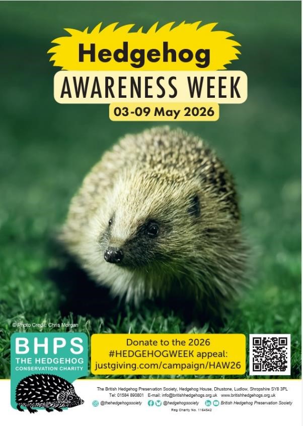Hedgehog awareness week