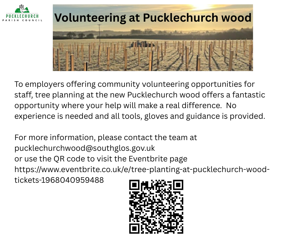 volunteering opportunity
